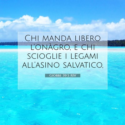 Giobbe 39:5 RIV Immagine del Versetto della Bibbia