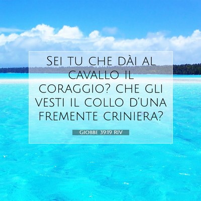 Giobbe 39:19 RIV Immagine del Versetto della Bibbia