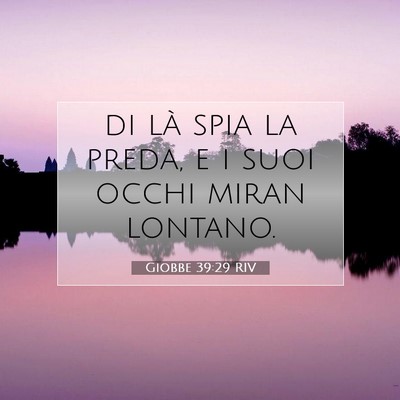 Giobbe 39:29 Versetto della Bibbia Spiegato