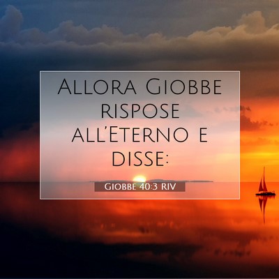 Giobbe 40:3 Versetto della Bibbia Spiegato