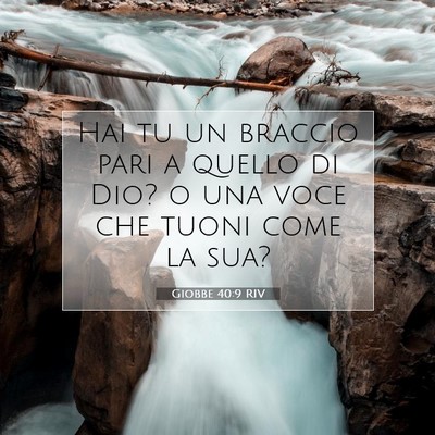 Giobbe 40:9 RIV Immagine del Versetto della Bibbia