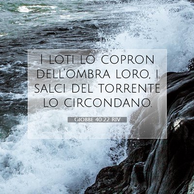 Giobbe 40:22 Versetto della Bibbia Spiegato