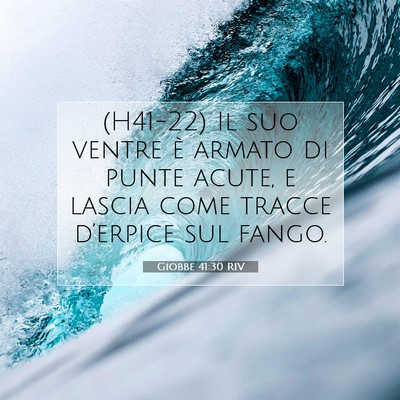 Giobbe 41:30 Versetto della Bibbia Spiegato