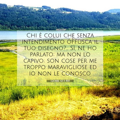 Giobbe 42:3 RIV Immagine del Versetto della Bibbia