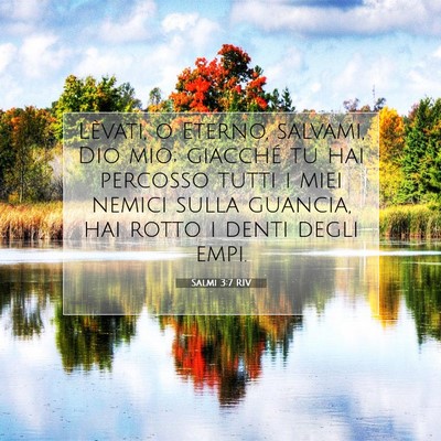 Salmi 3:7 RIV Immagine del Versetto della Bibbia