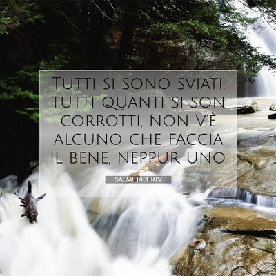 Salmi 14:3 Versetto della Bibbia Spiegato