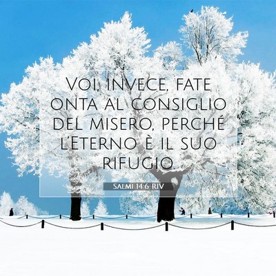 Salmi 14:6 RIV Immagine del Versetto della Bibbia