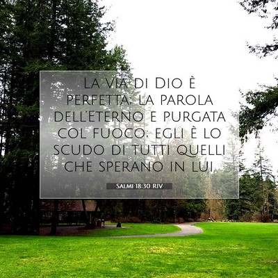 Salmi 18:30 Versetto della Bibbia Spiegato