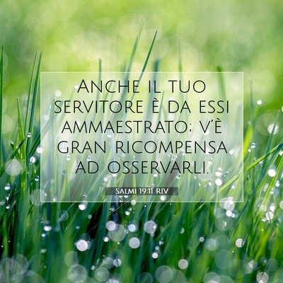 Salmi 19:11 Versetto della Bibbia Spiegato