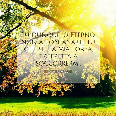 Salmi 22:19 Versetto della Bibbia Spiegato