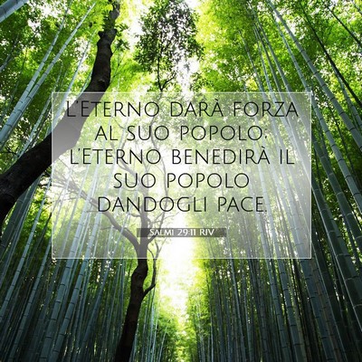Salmi 29:11 RIV Immagine del Versetto della Bibbia