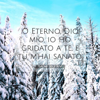 Salmi 30:2 RIV Immagine del Versetto della Bibbia