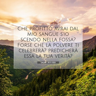 Salmi 30:9 RIV Immagine del Versetto della Bibbia