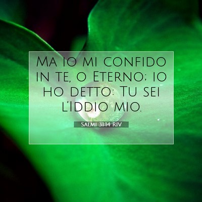 Salmi 31:14 RIV Immagine del Versetto della Bibbia