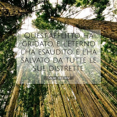 Salmi 34:6 RIV Immagine del Versetto della Bibbia