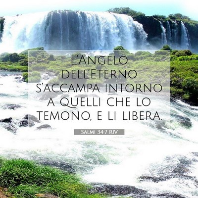 Salmi 34:7 RIV Immagine del Versetto della Bibbia