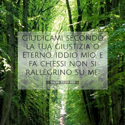 Salmi 35:24 RIV Immagine del Versetto della Bibbia