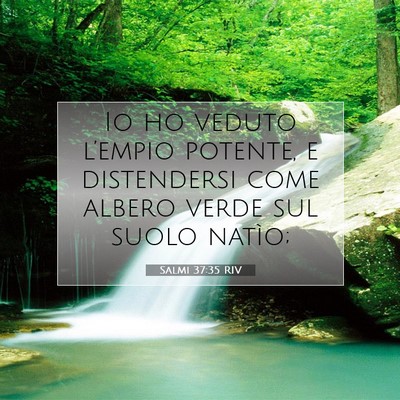 Salmi 37:35 RIV Immagine del Versetto della Bibbia