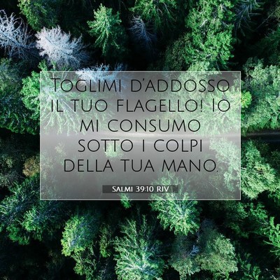 Salmi 39:10 Versetto della Bibbia Spiegato