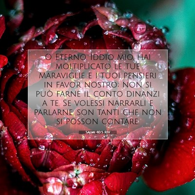 Salmi 40:5 RIV Immagine del Versetto della Bibbia