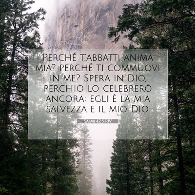 Salmi 42:5 RIV Immagine del Versetto della Bibbia