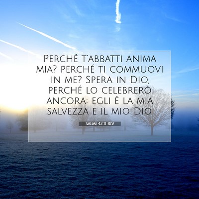 Salmi 42:11 RIV Immagine del Versetto della Bibbia
