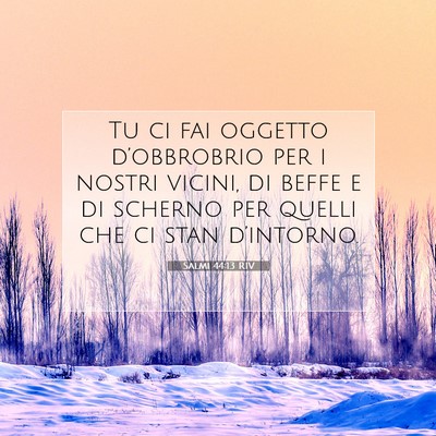 Salmi 44:13 RIV Immagine del Versetto della Bibbia