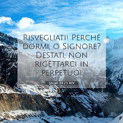 Salmi 44:23 RIV Immagine del Versetto della Bibbia