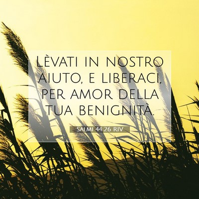 Salmi 44:26 RIV Immagine del Versetto della Bibbia