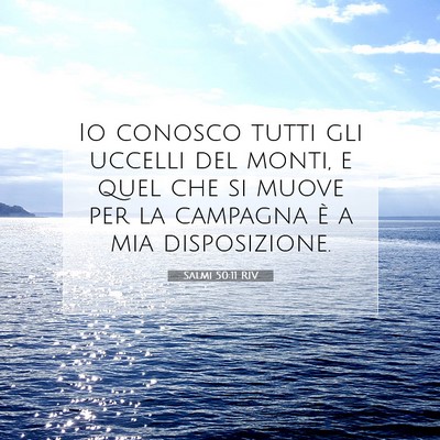 Salmi 50:11 Versetto della Bibbia Spiegato