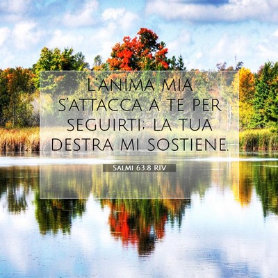 Salmi 63:8 RIV Immagine del Versetto della Bibbia