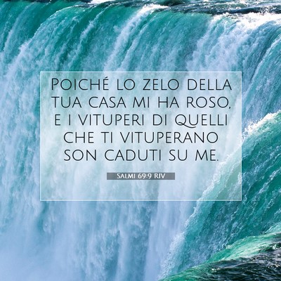 Salmi 69:9 RIV Immagine del Versetto della Bibbia