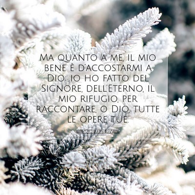 Salmi 73:28 RIV Immagine del Versetto della Bibbia