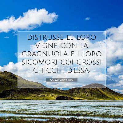 Salmi 78:47 Versetto della Bibbia Spiegato