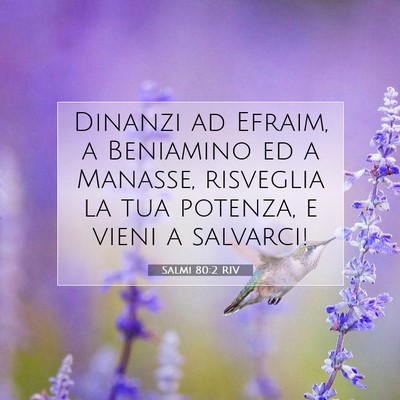 Salmi 80:2 Versetto della Bibbia Spiegato