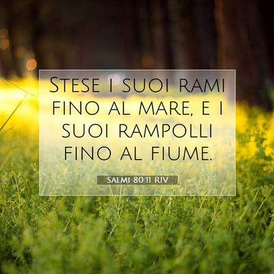 Salmi 80:11 Versetto della Bibbia Spiegato
