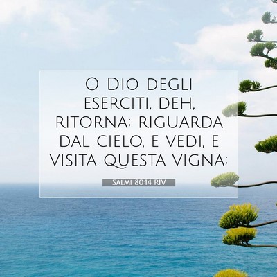 Salmi 80:14 Versetto della Bibbia Spiegato