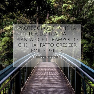 Salmi 80:15 Versetto della Bibbia Spiegato
