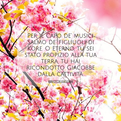 Salmi 85:1 RIV Immagine del Versetto della Bibbia