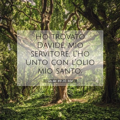 Salmi 89:20 RIV Immagine del Versetto della Bibbia