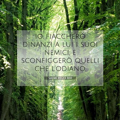 Salmi 89:23 RIV Immagine del Versetto della Bibbia