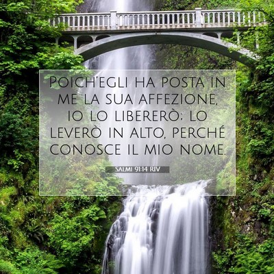 Salmi 91:14 RIV Immagine del Versetto della Bibbia