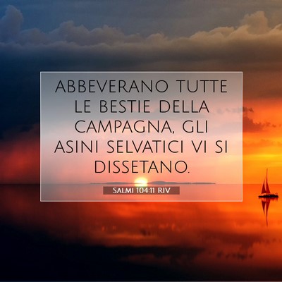 Salmi 104:11 Versetto della Bibbia Spiegato