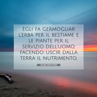 Salmi 104:14 RIV Immagine del Versetto della Bibbia