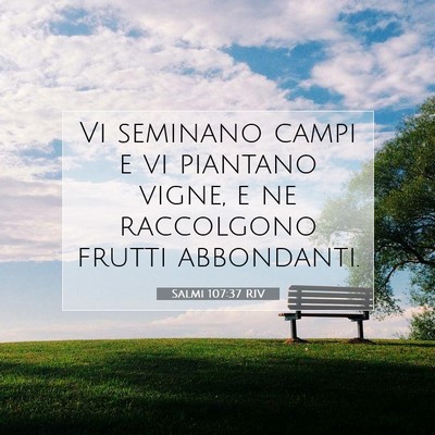 Salmi 107:37 Versetto della Bibbia Spiegato