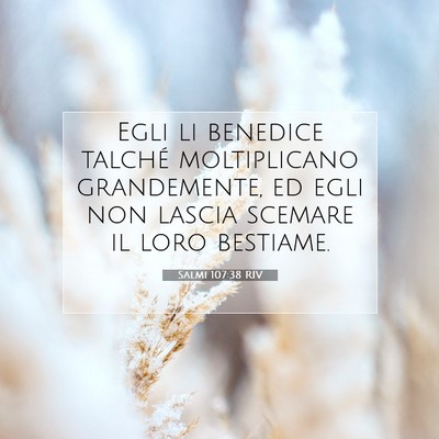 Salmi 107:38 RIV Immagine del Versetto della Bibbia