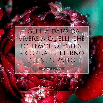 Salmi 111:5 RIV Immagine del Versetto della Bibbia
