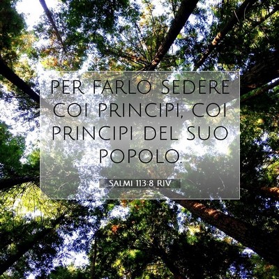 Salmi 113:8 Versetto della Bibbia Spiegato