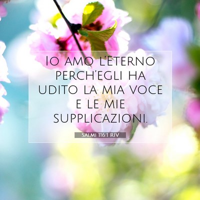 Salmi 116:1 RIV Immagine del Versetto della Bibbia