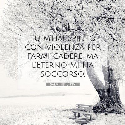 Salmi 118:13 Versetto della Bibbia Spiegato